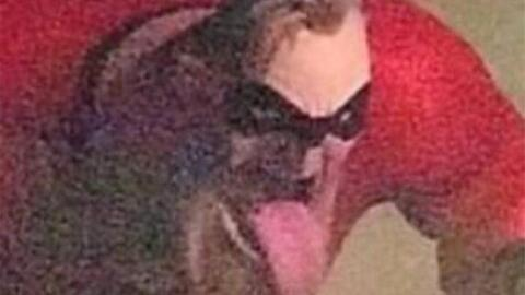 Leaked barbellbarbie01 header onlyfans leaked