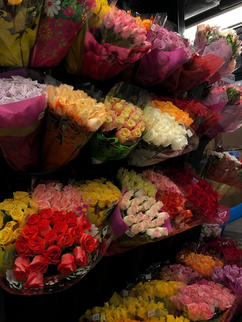 Leaked bbelkenia header onlyfans leaked