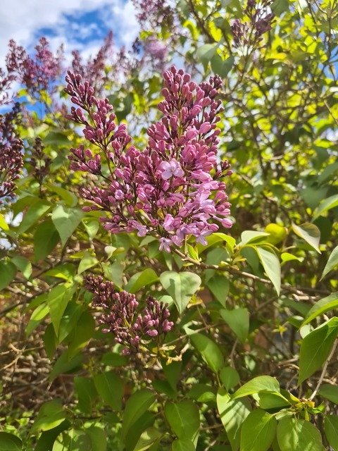 Leaked bbw_cutie header onlyfans leaked