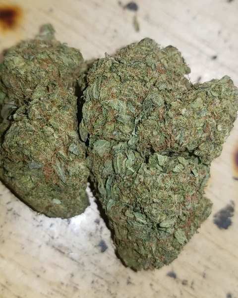 Leaked beach_420_710_bunny header onlyfans leaked