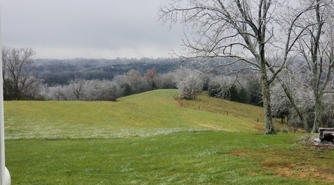 Leaked bearded_beastmonster header onlyfans leaked