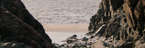 Leaked bearinchi header onlyfans leaked