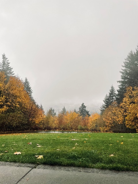 Leaked beary-stoned header onlyfans leaked