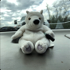 Leaked bedresonator onlyfans leaked