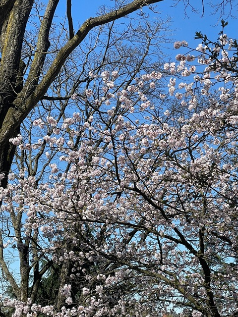 Leaked bejbibo header onlyfans leaked