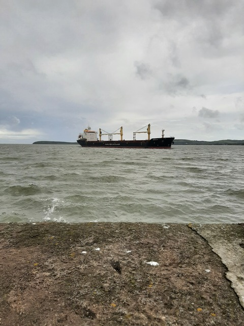 Leaked bellaamira header onlyfans leaked