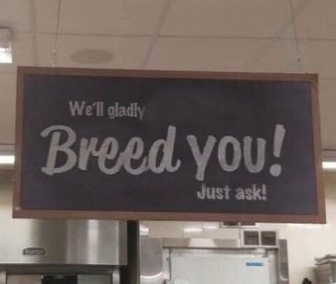 Leaked bellafwee header onlyfans leaked