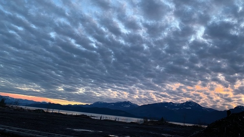 Leaked bellethebeauty20 header onlyfans leaked