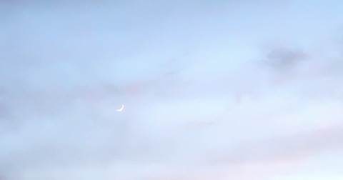 Leaked bhadbrooklyn header onlyfans leaked