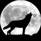 Leaked bigbadwolf0 onlyfans leaked