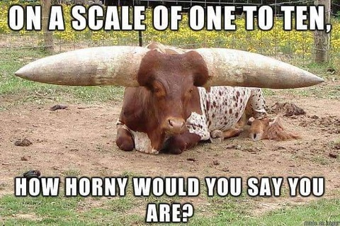 Leaked bigbeardedmexn header onlyfans leaked