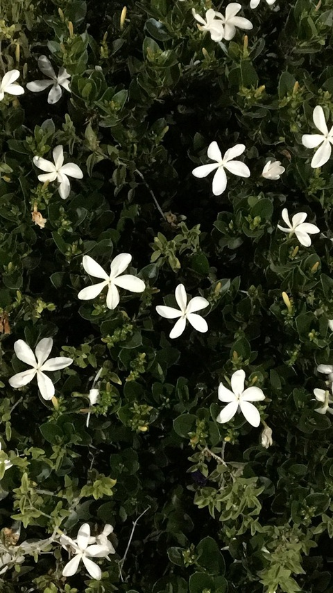 Leaked bigtiddybitchh header onlyfans leaked