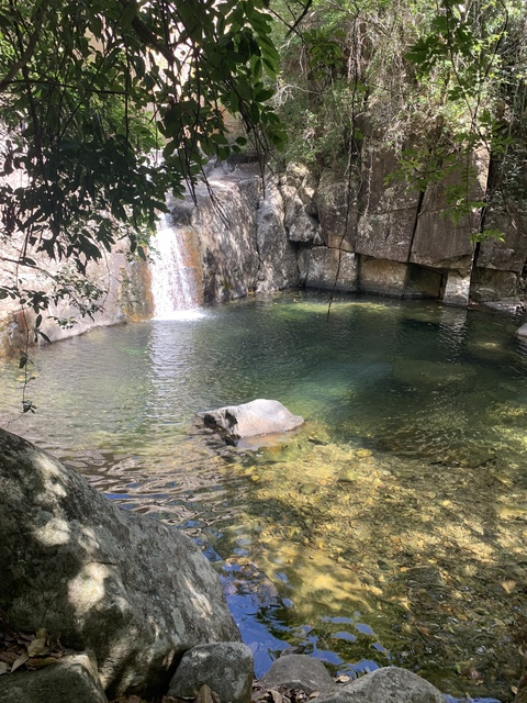 Leaked bigtittybree header onlyfans leaked