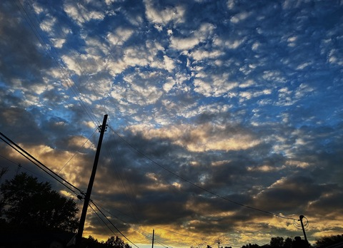 Leaked billirae18 header onlyfans leaked