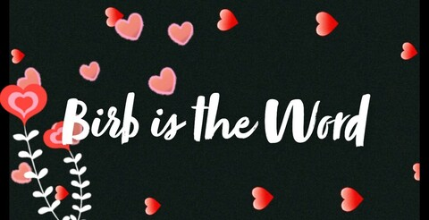 Leaked birbgrrl header onlyfans leaked