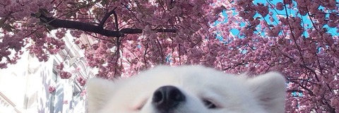 Leaked biscuits4brainz header onlyfans leaked