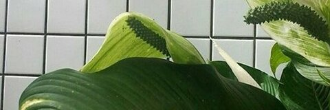 Leaked biterb header onlyfans leaked