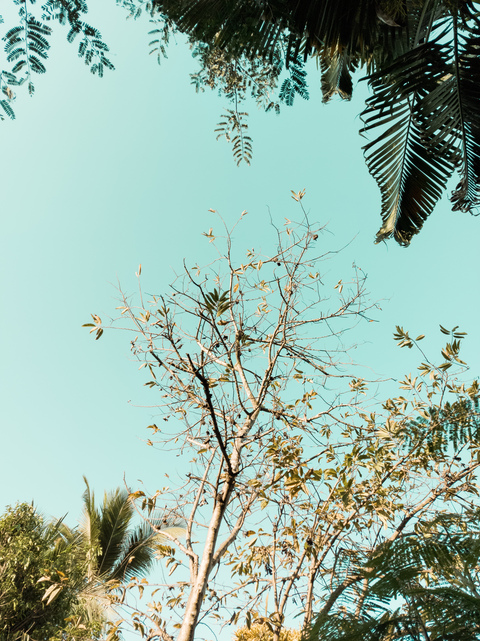 Leaked bixz1 header onlyfans leaked