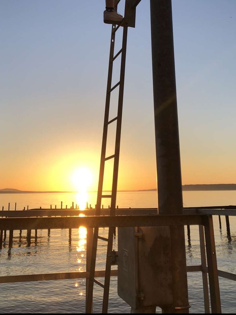 Leaked bl4irebe4r header onlyfans leaked