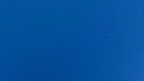 Leaked blondie.boo header onlyfans leaked