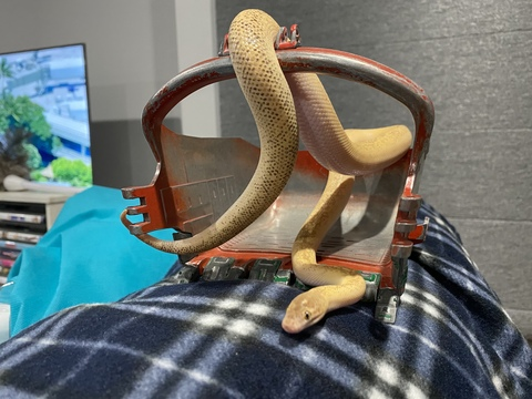 Leaked bobby161189 header onlyfans leaked