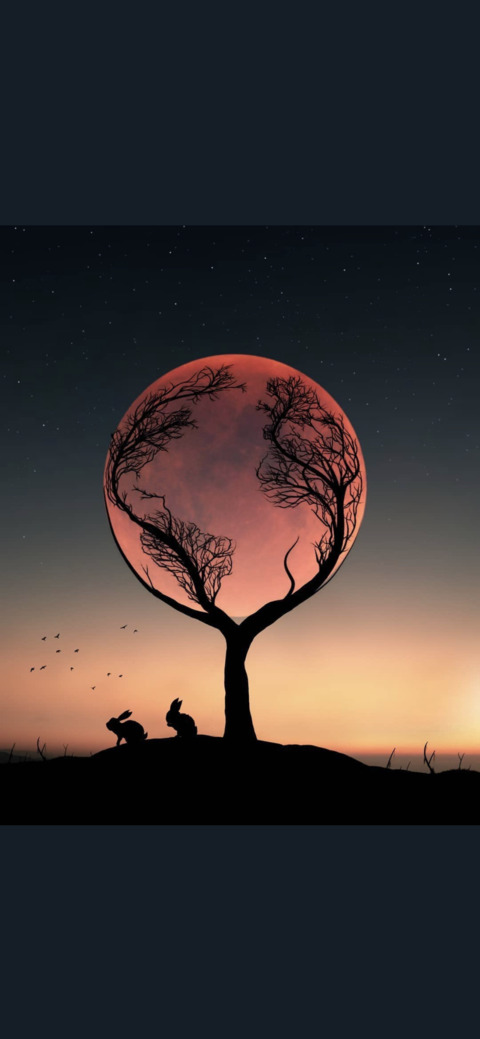 Leaked bobbymichael__ header onlyfans leaked