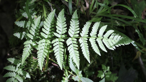 Leaked bodyofmadi header onlyfans leaked