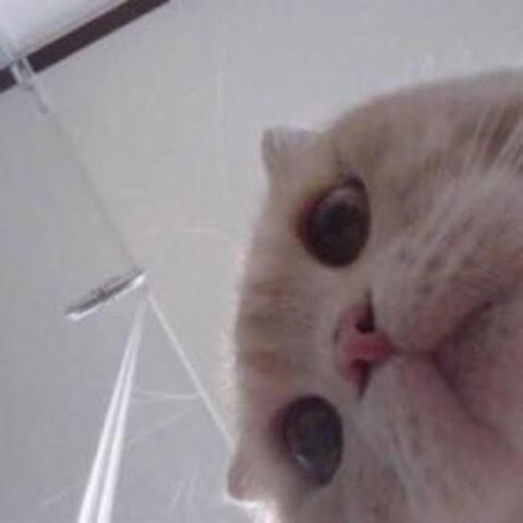 Leaked bone_ header onlyfans leaked