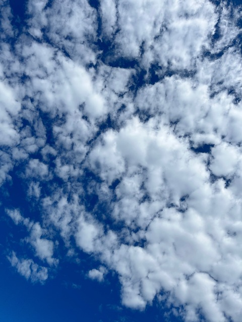 Leaked boobbeanz header onlyfans leaked