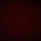 boppy1111 Profile Picture