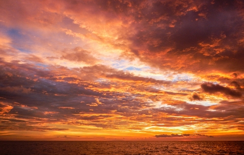 Leaked braingirl header onlyfans leaked