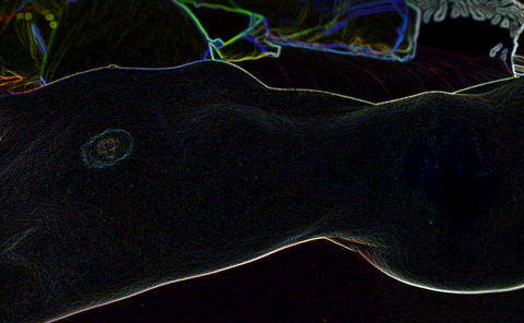 Leaked bree_the_fox header onlyfans leaked