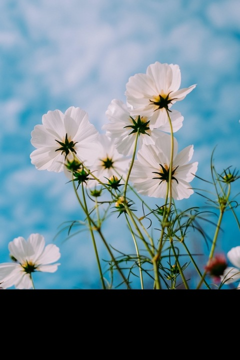 Leaked briiibabbyyy header onlyfans leaked