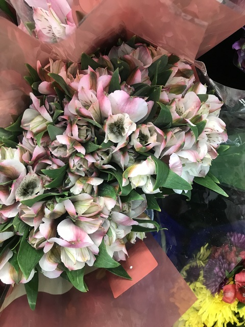 Leaked britney9 header onlyfans leaked