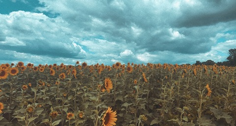 Leaked brittmichellee header onlyfans leaked