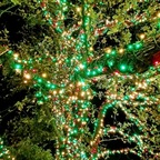 Leaked brokengrl765 onlyfans leaked