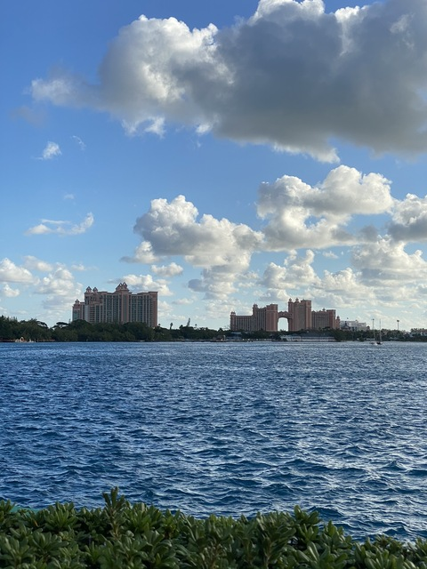 Leaked brooklyann header onlyfans leaked