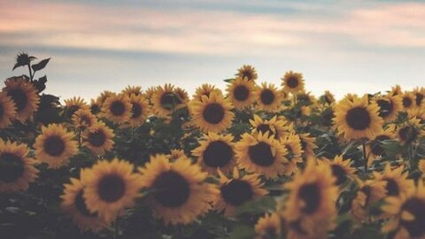 Leaked brunettebabie18 header onlyfans leaked