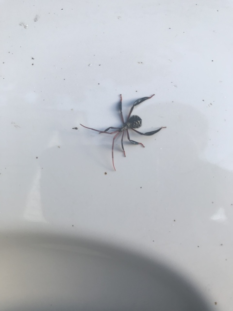 Leaked c.cole header onlyfans leaked