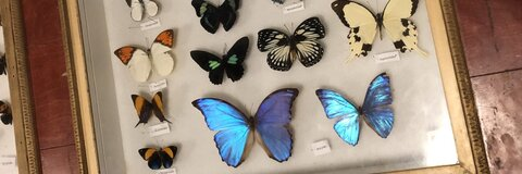 Leaked caleigh1314 header onlyfans leaked