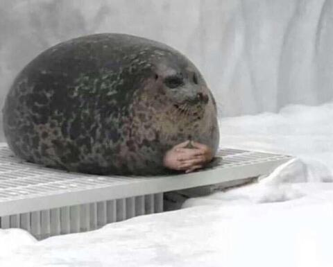 Leaked candyfh header onlyfans leaked