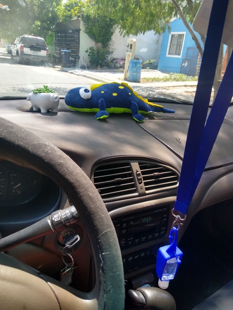 Leaked cangre header onlyfans leaked