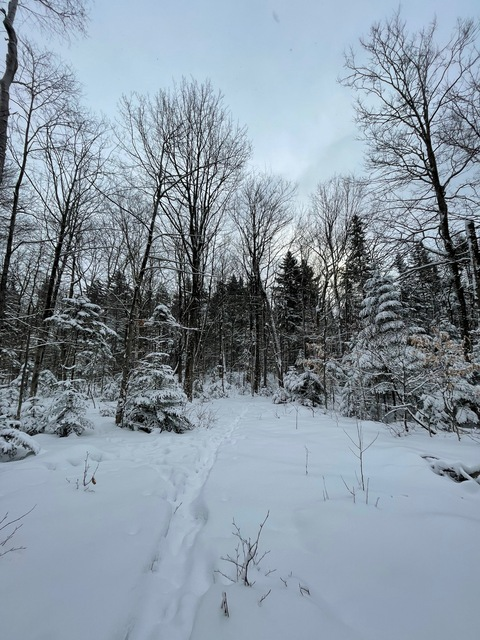 Leaked cannelle_dentelle header onlyfans leaked