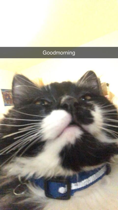 Leaked carmengrey header onlyfans leaked