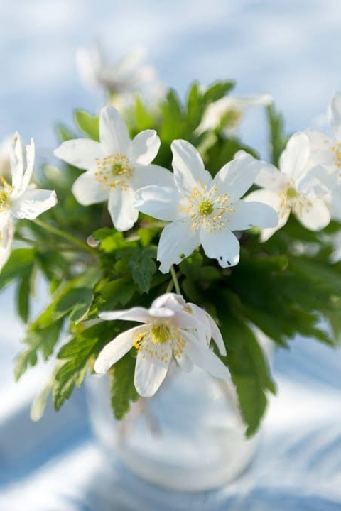 Leaked carmensmith header onlyfans leaked