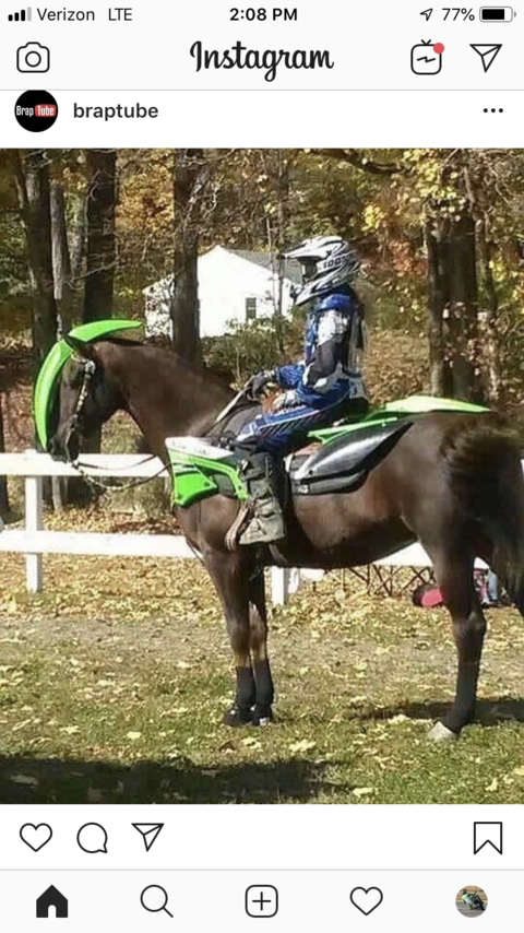 Leaked cars-guy header onlyfans leaked