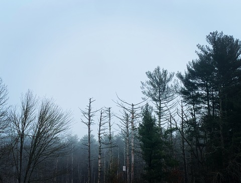 Leaked carsonknightly header onlyfans leaked