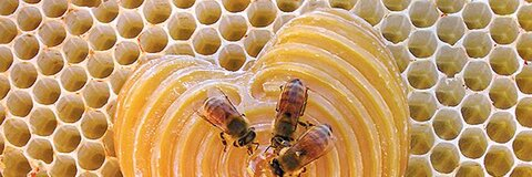 Leaked catacombcutie header onlyfans leaked