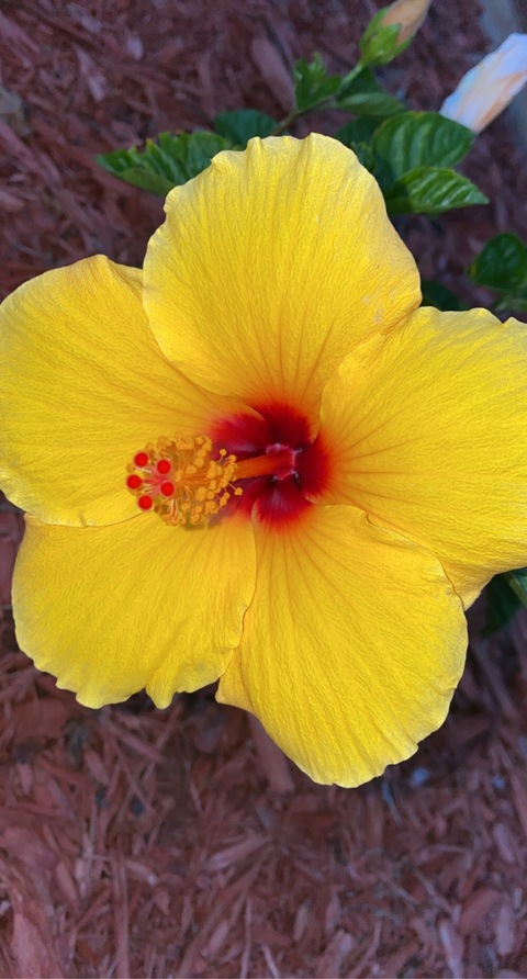 Leaked catewade98 header onlyfans leaked