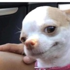 Leaked cattnsker onlyfans leaked